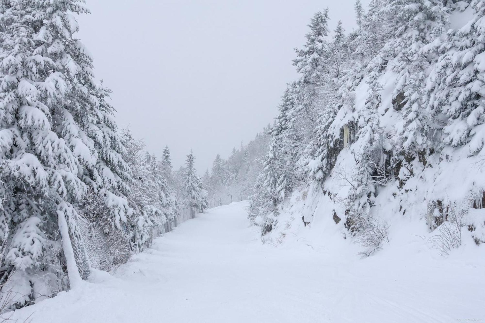 O'Berge Du Village C304 - Bord De L'Eau Magog Eksteriør bilde